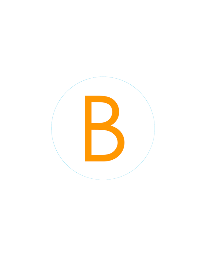 Bogg Bit - Initial "B"