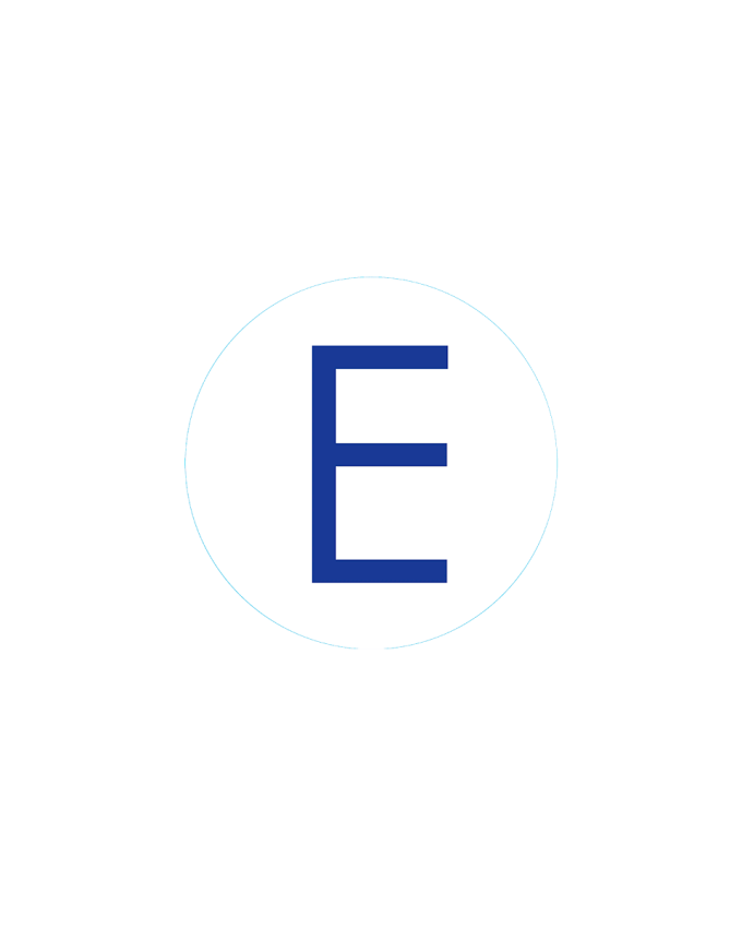 Bogg Bit - Initial "E"