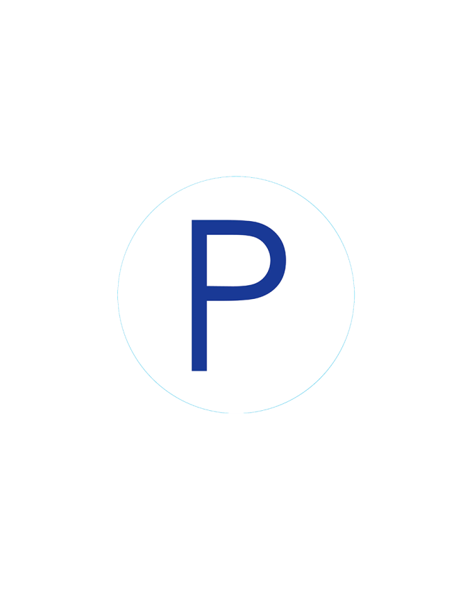 Bogg Bit - Initial "P"